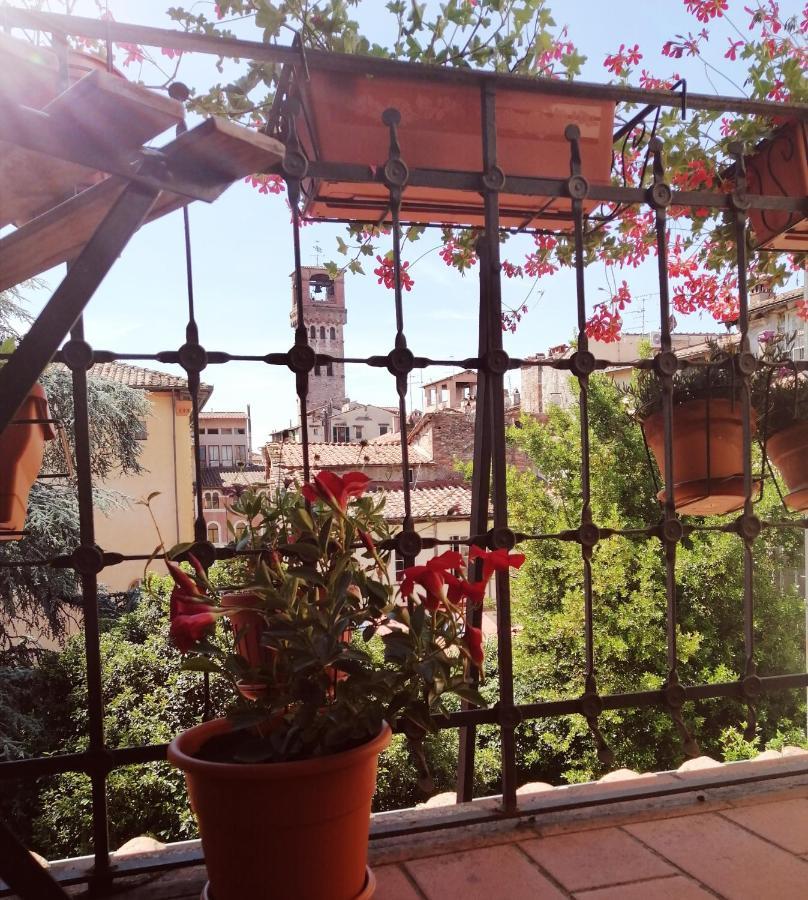 Bed And Breakfast Evelina Lucca Exteriör bild