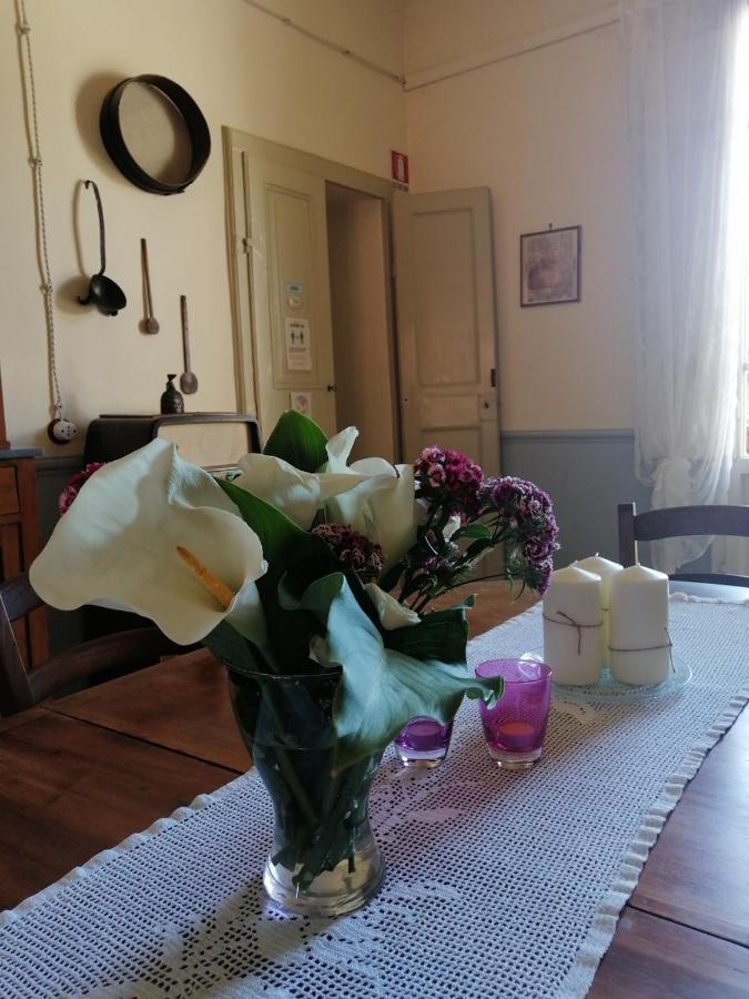 Bed And Breakfast Evelina Lucca Exteriör bild