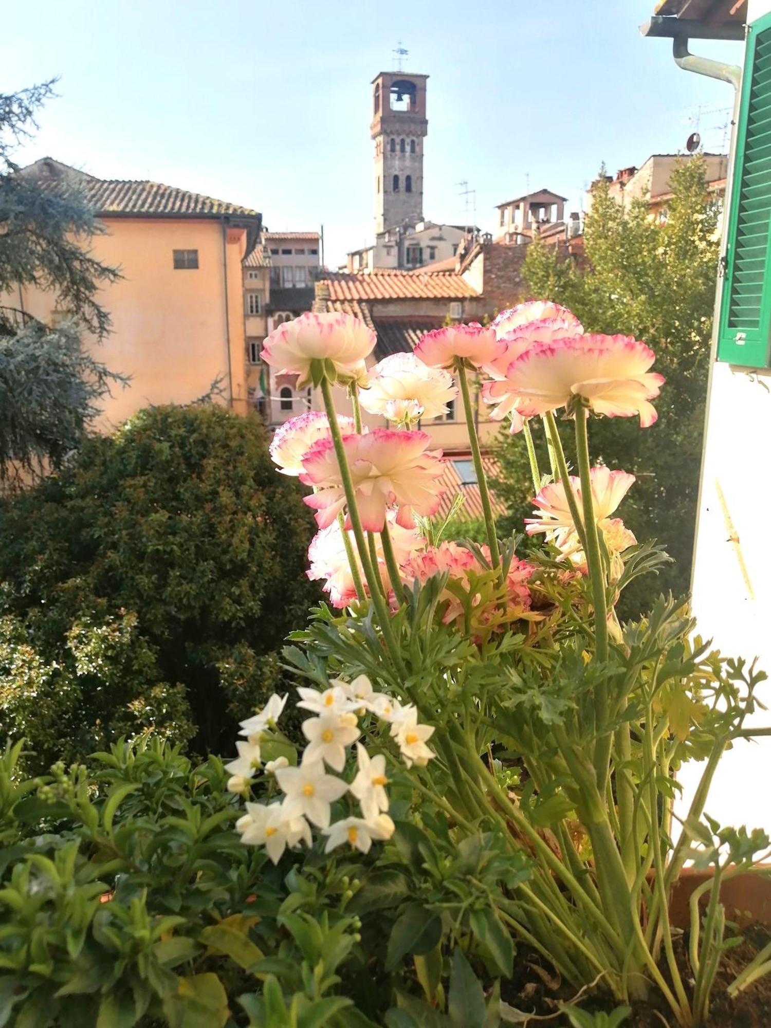 Bed And Breakfast Evelina Lucca Exteriör bild